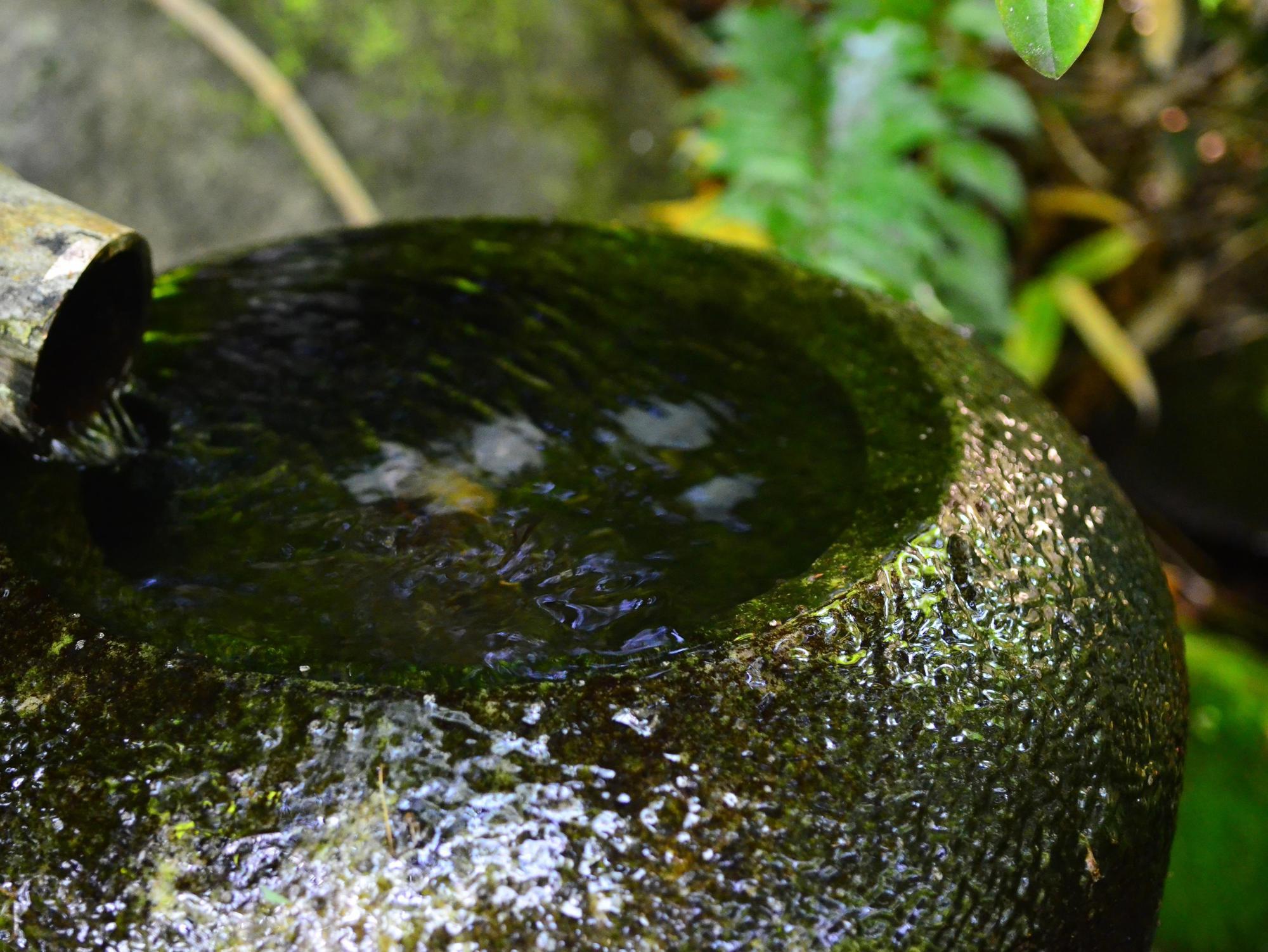 Yufuin Ryokan Nogiku Bagian luar foto